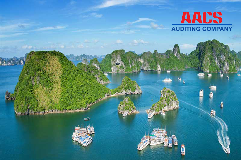Auditing services in Quang Ninh