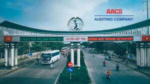 Auditing services in Viet Yen